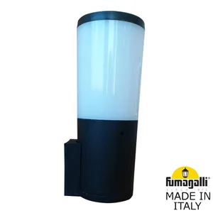 Настенный светильник Amelia Fumagalli DR2.570.000.AYE27