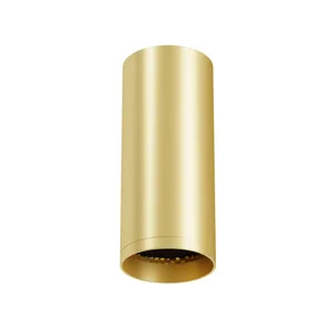 Накладной светильник Focus Maytoni C010CL-01MG-N