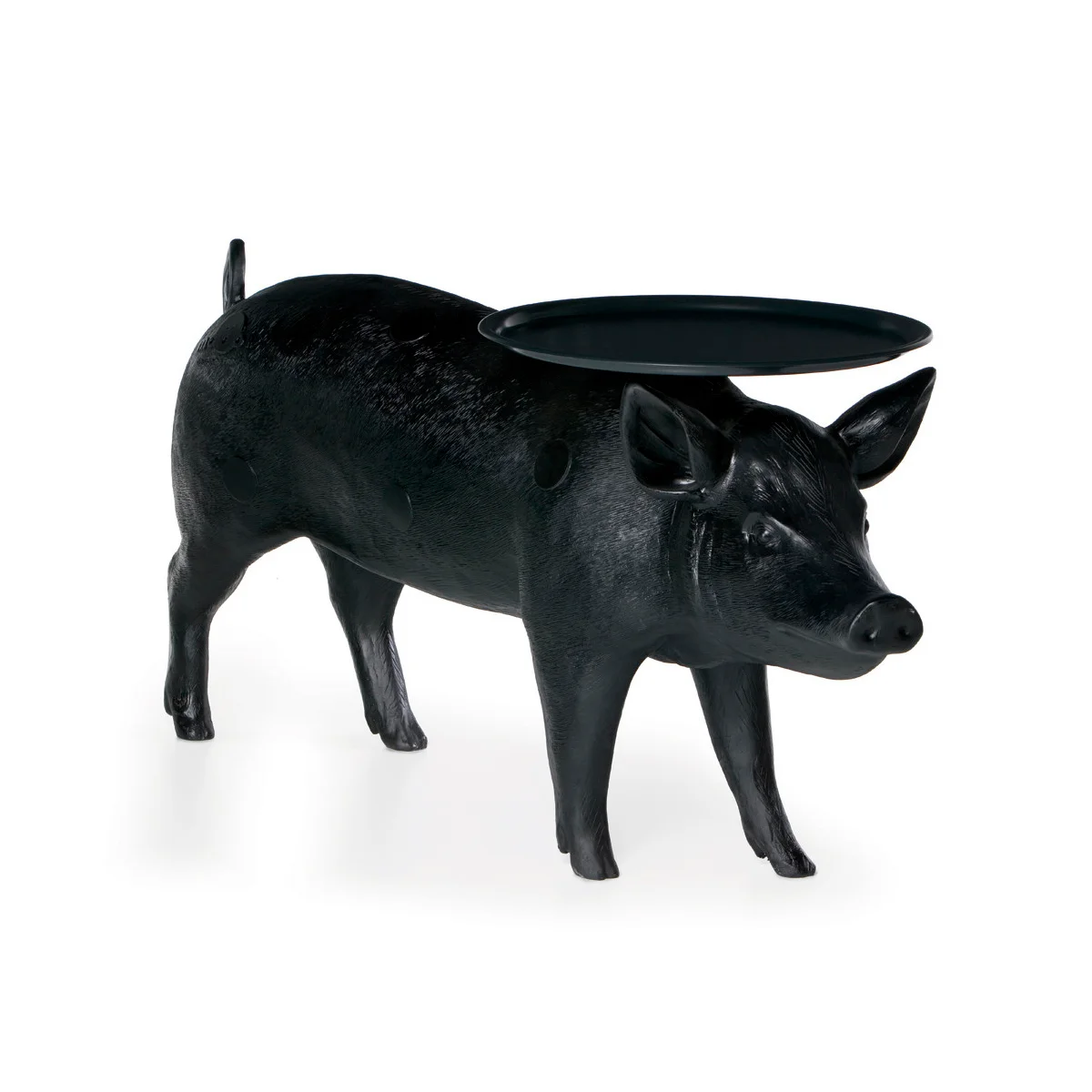 Pig