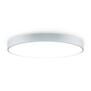 Потолочный светильник Сприда / Sprida Freya FR6129CL-L80GR