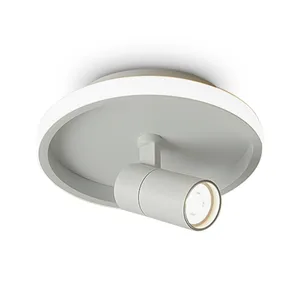 Потолочный светильник Нео / Neo Freya FR6040CL-L14W