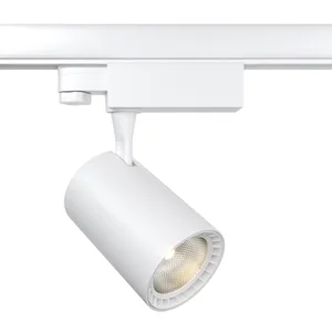 Трековый светильник Тринилайт / Trinilight Voltega TR-VGL029-3-10W3K-W-W