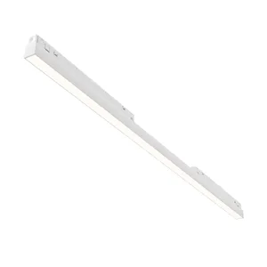 Трековый светильник Эксилайт / Exilight Voltega VGL030-2-30W4K-W