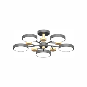 Потолочная люстра L LED4U L3204-620 GR
