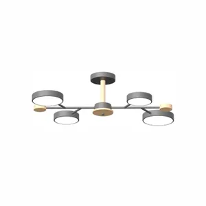 Потолочная люстра L LED4U L3213-670 GR