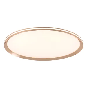 Потолочный светильник L LED4U L3020-600 GD