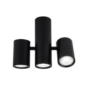 Потолочный светильник L LED4U L2234-180 BK