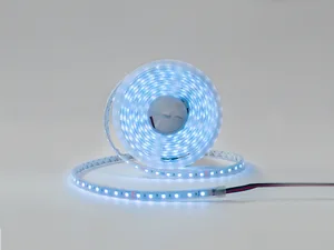 Светодиодная лента DSG560 SWG DesignLed 00-00003351