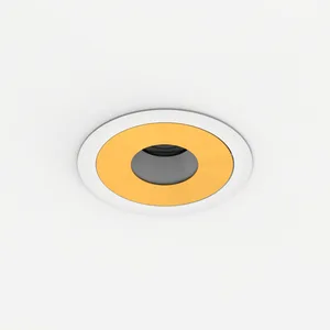 Магнитная накладка для светильника C2-MG-GD2, SWG LUMKER 00-00010159