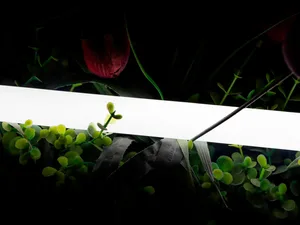 Гибкая LED лента SWG PRO 00-00013284