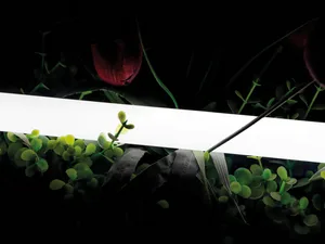 Гибкая LED лента SWG PRO 00-00013283