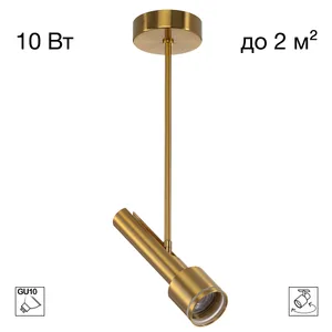 Потолочный спот на штанге VEKTOR Citilux CL51332_BF