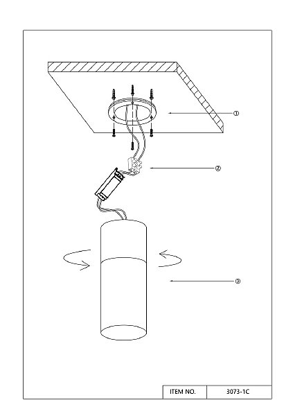 Накладной светильник Deepak 3073-1C