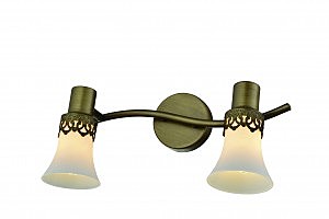 Светильник спот Nelly 1346/2A