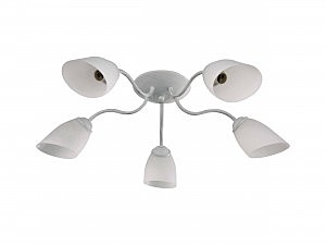 Потолочная люстра Balu 1510/5C