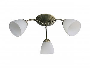 Потолочная люстра Nina 1515/3C