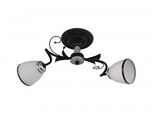 Потолочная люстра Gera 1520/2C