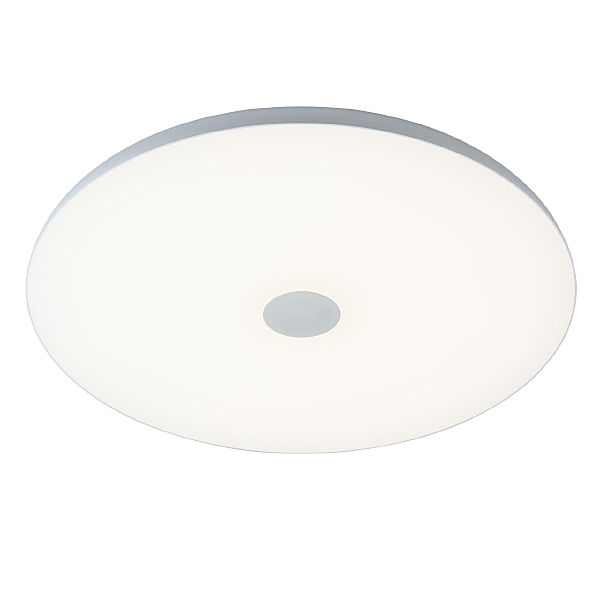 Светильник потолочный Норден 660012801