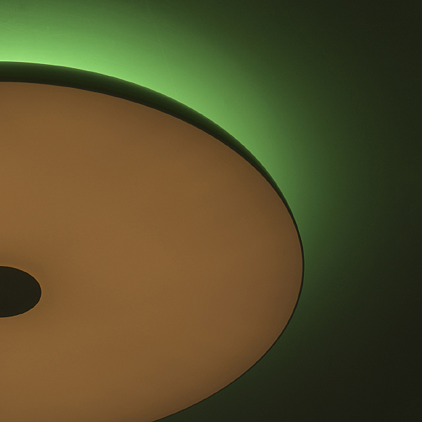 Светильник потолочный Норден 660012801