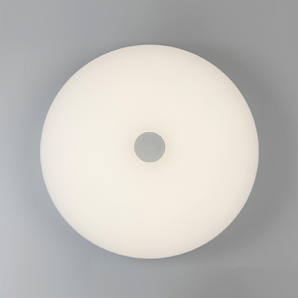 Светильник потолочный Норден 660012801