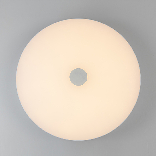 Светильник потолочный Норден 660012801