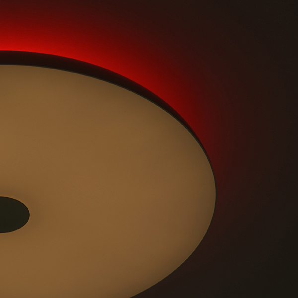 Светильник потолочный Норден 660012801