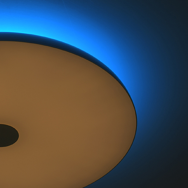 Светильник потолочный Норден 660012901