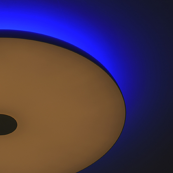 Светильник потолочный Норден 660012901