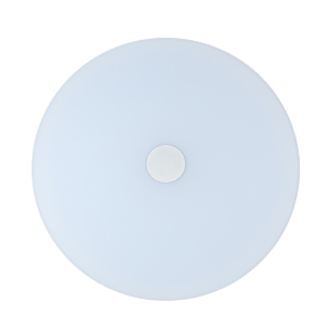 Светильник потолочный Норден 660012901