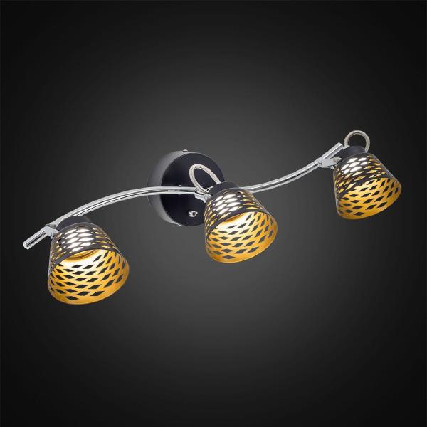 Светильник спот Орегон CL508532