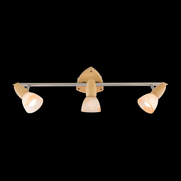 Подсветка Citilux Монте CL505531