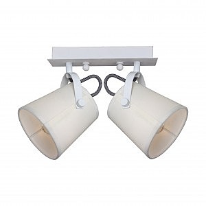 Светильник спот Munich 2176-2U