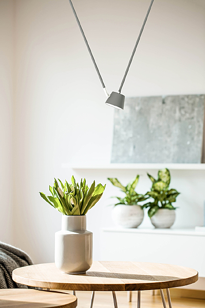 Светильник потолочный Хартвиг 717010201