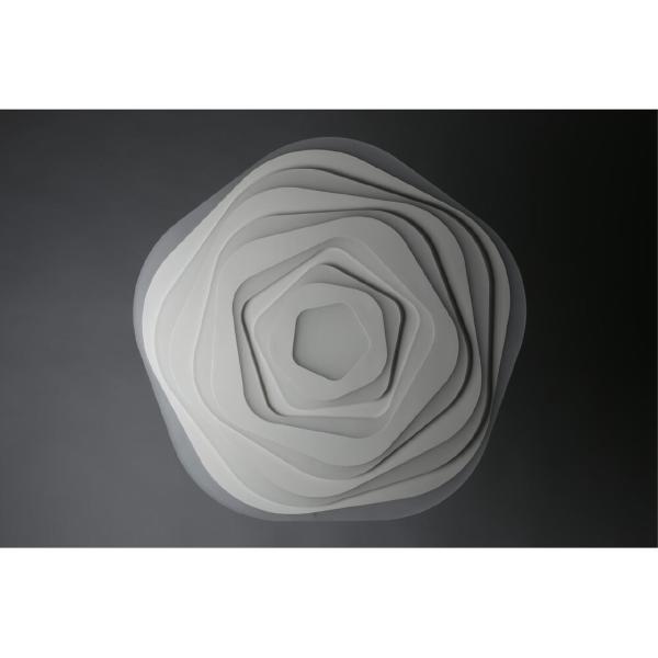 Потолочная люстра Carmonetti OML-05507-120