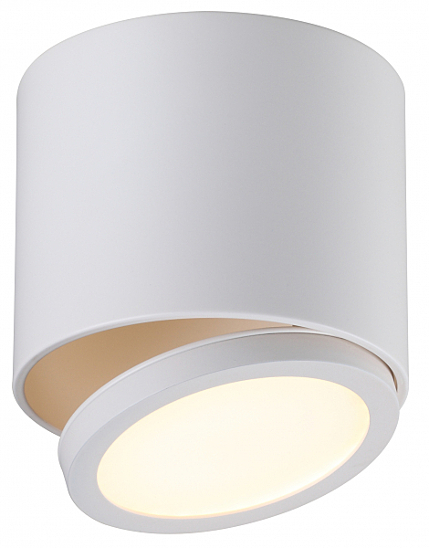 Светильник спот Canicatti OML-20501-01