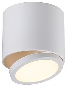 Светильник спот Canicatti OML-20501-01