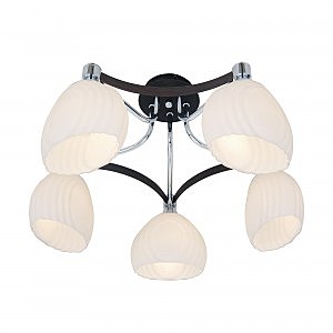 Потолочная люстра Ирис CL143151