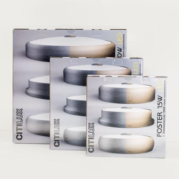 Светильник потолочный Фостер-1 CL706132