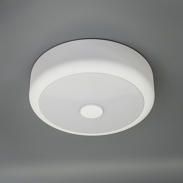 Светильник потолочный Фостер-1 CL706110