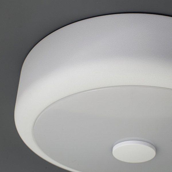 Светильник потолочный Фостер-1 CL706110