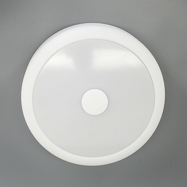 Светильник потолочный Фостер-1 CL706110