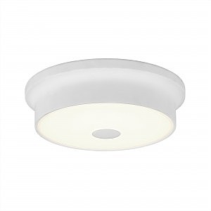 Светильник потолочный Фостер-2 CL706210