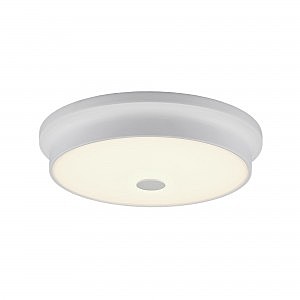 Светильник потолочный Фостер-2 CL706230