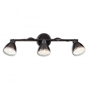 Светильник спот Робуста CL509532