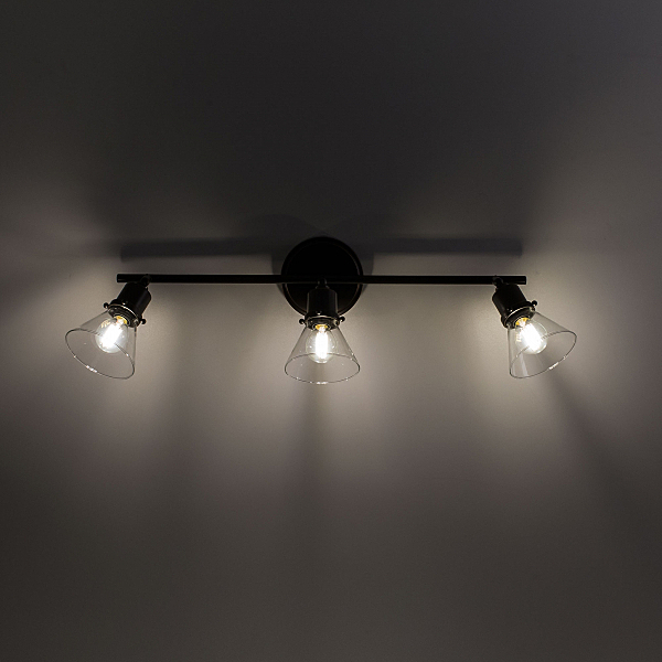 Светильник спот Бисмарк CL564531