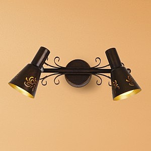 Подсветка Citilux  Дункан CL529521