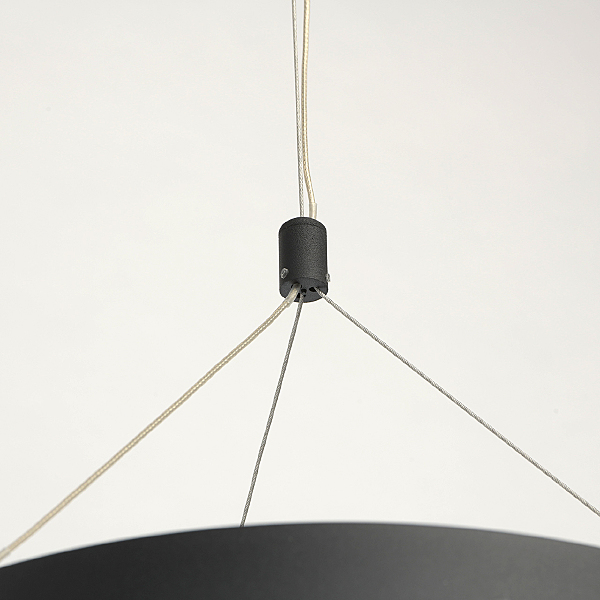 Светильник подвесной Перегрина 703010901