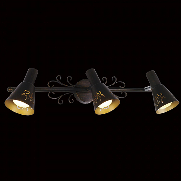 Подсветка Citilux Дункан CL529531