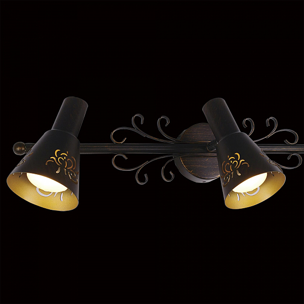 Подсветка Citilux Дункан CL529531