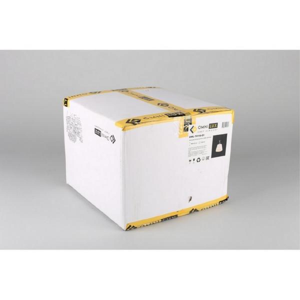 Светильник подвесной Belluno OML-79116-01